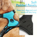 Load image into Gallery viewer, 3pcs Adjustable Soft Escape-Proof Dog Harness Set with Leash, Poop Bag Dispenser
