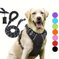 Load image into Gallery viewer, 3pcs Adjustable Soft Escape-Proof Dog Harness Set with Leash, Poop Bag Dispenser
