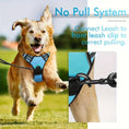 Load image into Gallery viewer, 3pcs Adjustable Soft Escape-Proof Dog Harness Set with Leash, Poop Bag Dispenser
