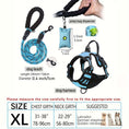 Load image into Gallery viewer, 3pcs Adjustable Soft Escape-Proof Dog Harness Set with Leash, Poop Bag Dispenser
