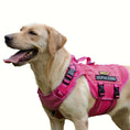 Load image into Gallery viewer, Premium No Pull Tactical Dog Harness - Comfortable Breathable Mesh Vest with Easy Walk & Train Feature
