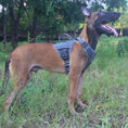 Load image into Gallery viewer, Tactical Dog Harness with Handle Quick-Moving Reflective in Training Walking K9 Vest
