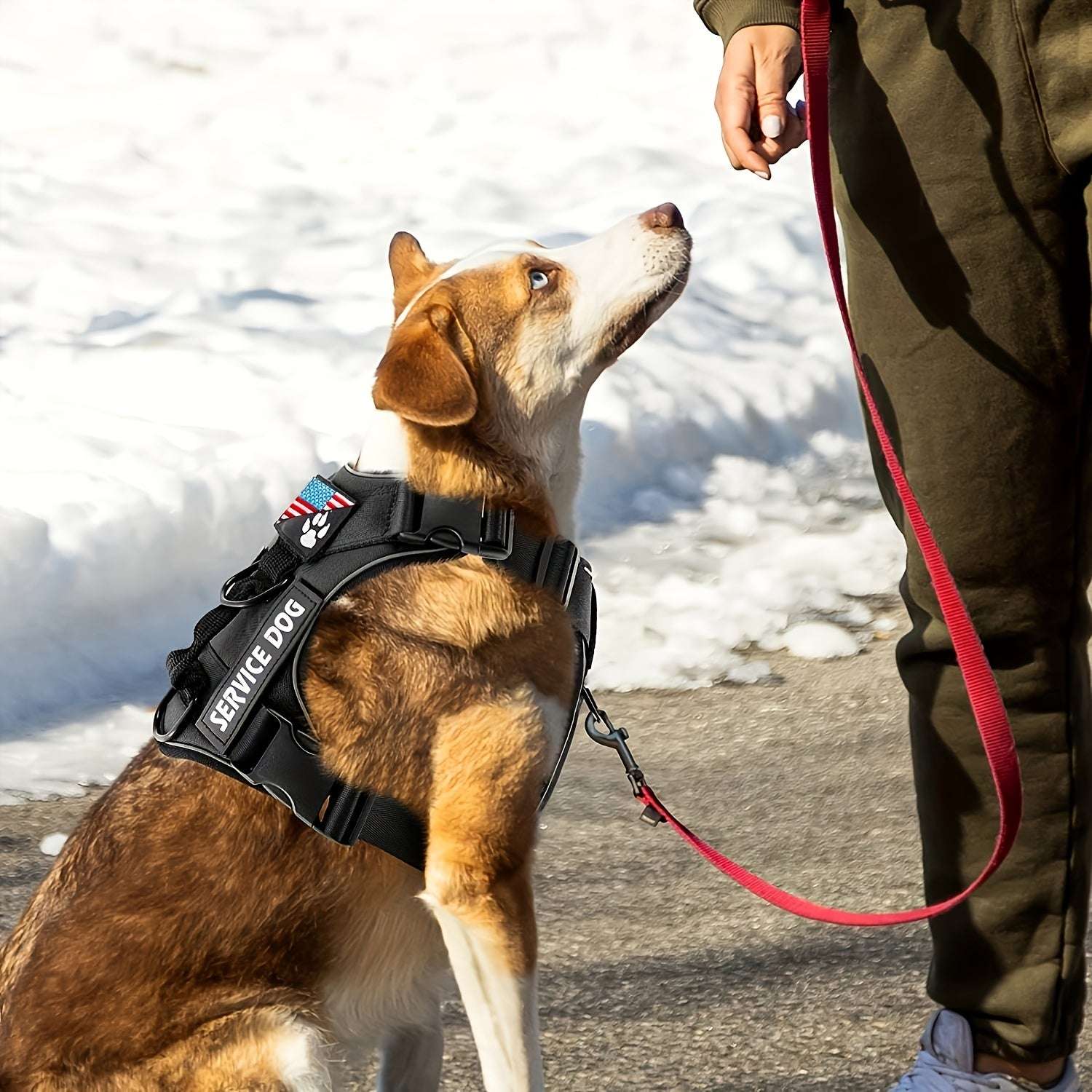 Ultimate Reflective Adjustable Dog Harness Vest - Basic Halter Harnesses for Easy Control and Safe Walking